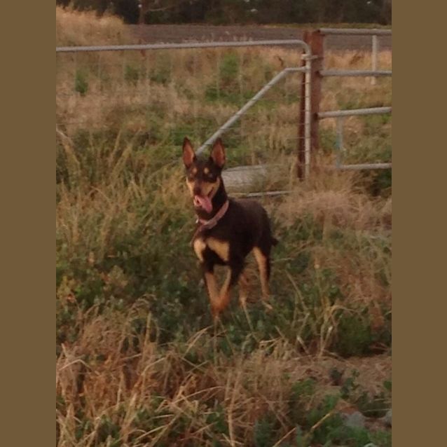 Photo of Ruby