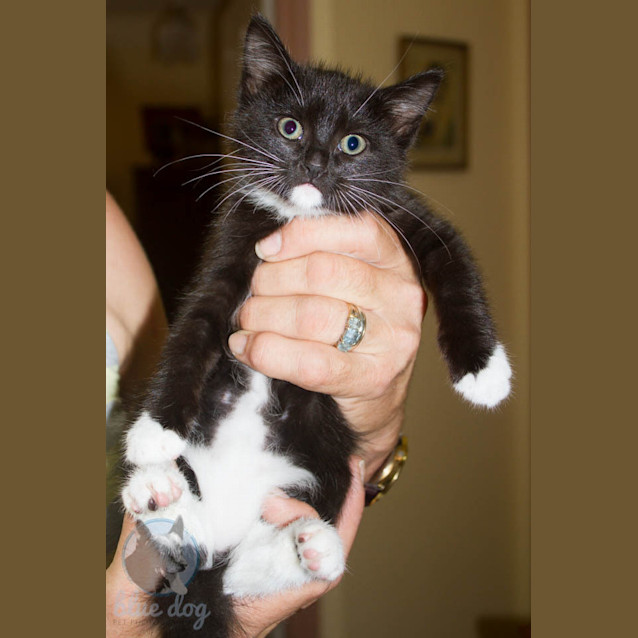 Photo of Betty (C962) Ready Now