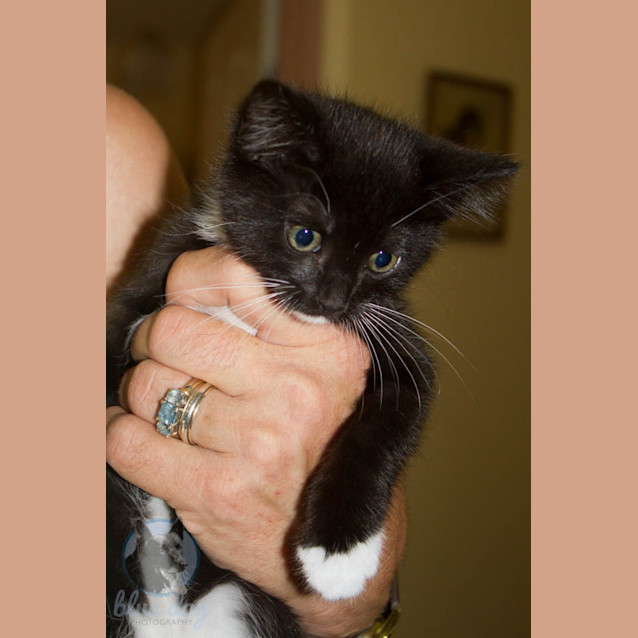 Photo of Betty (C962) Ready Now