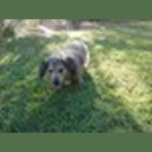 Photo of Buffy