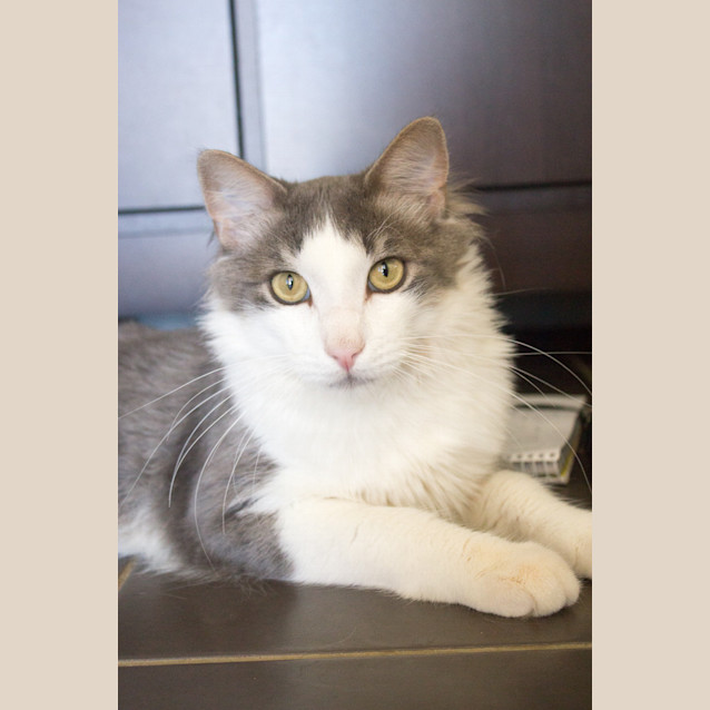 Photo of Lucky
