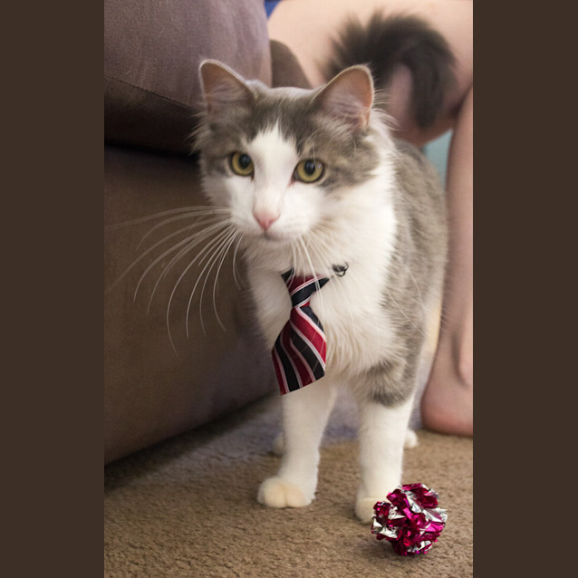 Photo of Lucky
