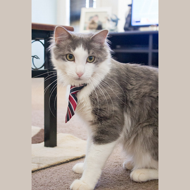 Photo of Lucky