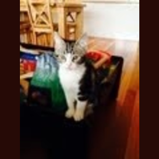Photo of Jasper