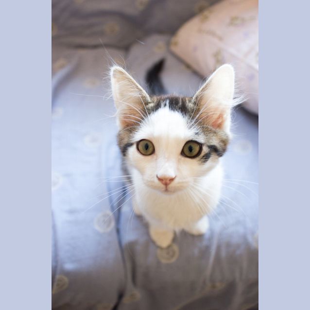 Photo of Calvin