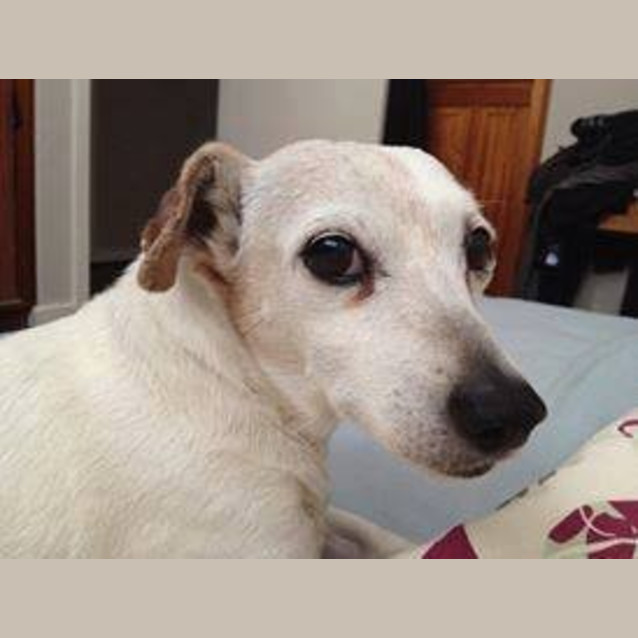 Photo of Molly