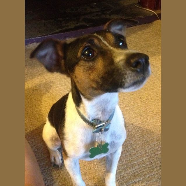 Photo of Humphrey  