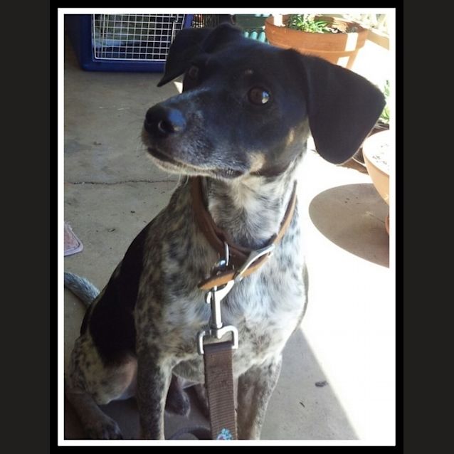 Photo of Blue