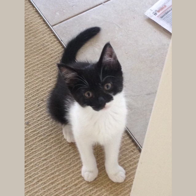 Photo of Jemima
