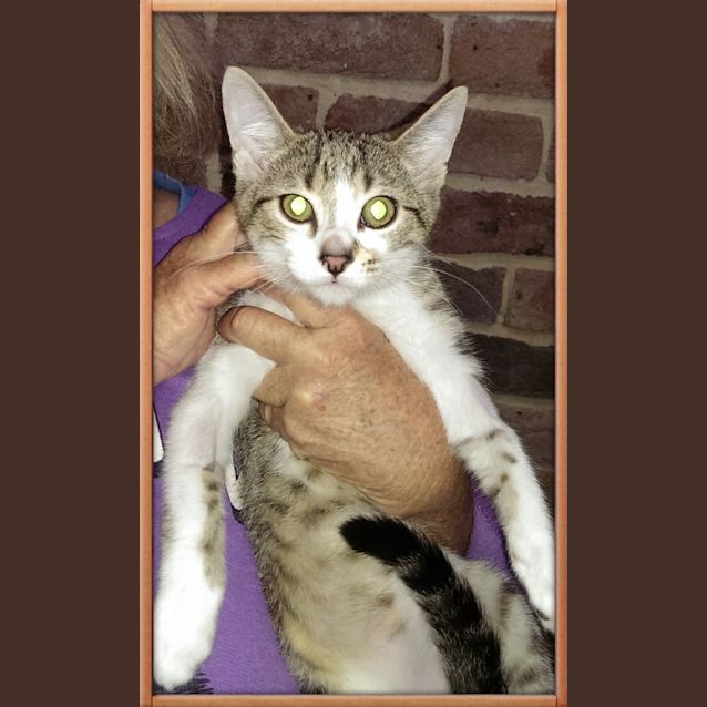 Photo of Tinker