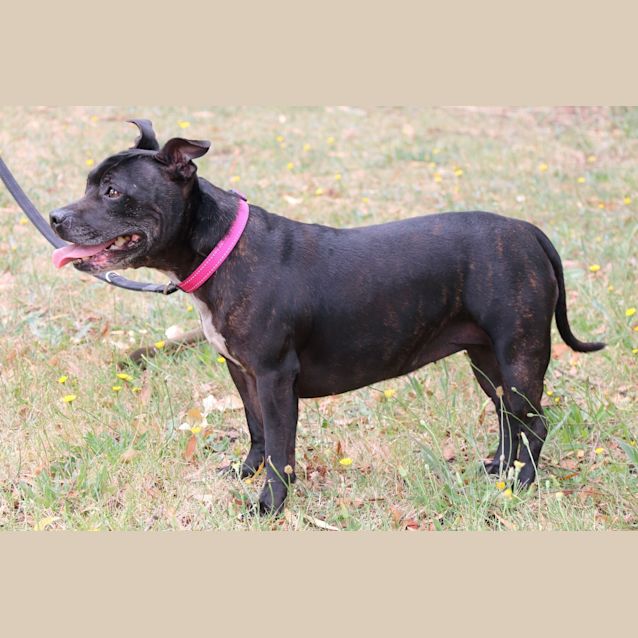Photo of Coco