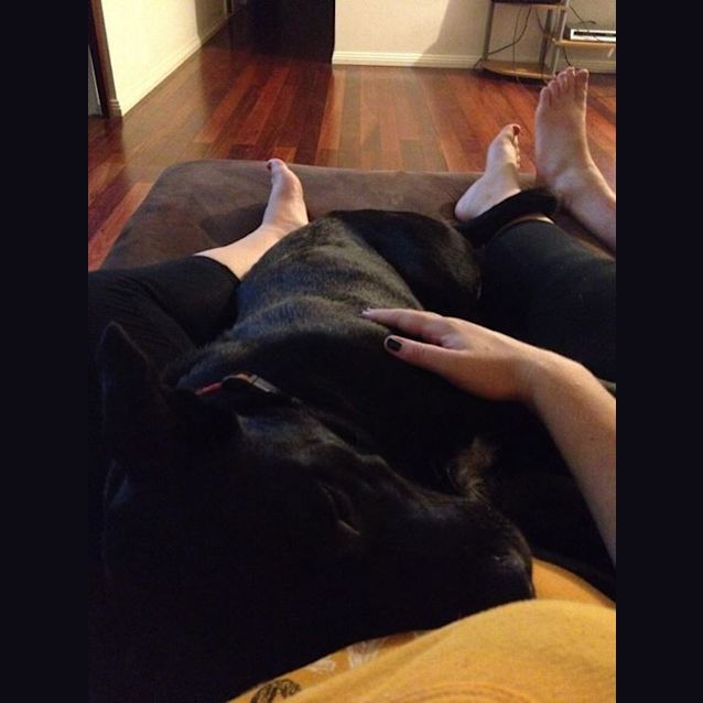 Photo of Shadow