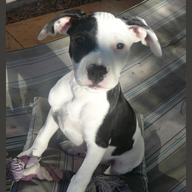 Photo of Sophia