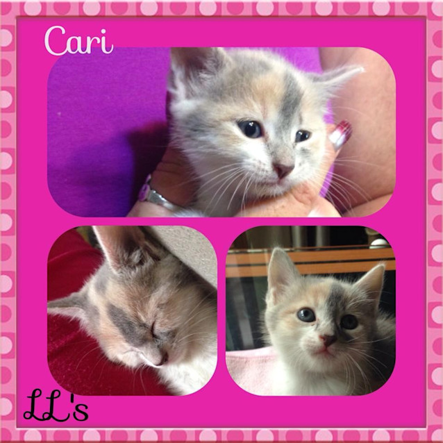 Photo of Cari