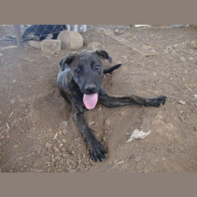 Photo of Jax