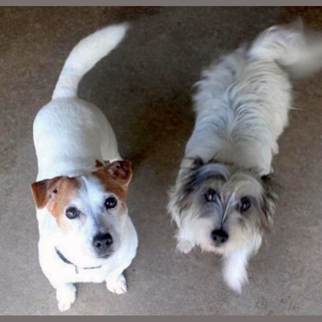 Photo of Cooper & Paddy