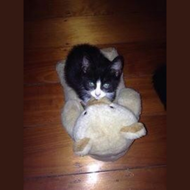 Photo of Mickey