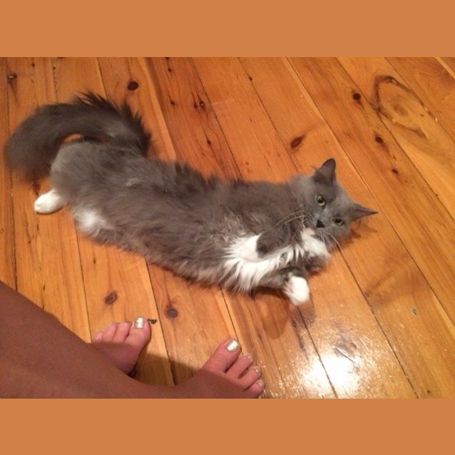 Photo of Camira