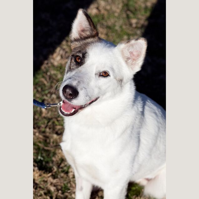 Photo of Maisy
