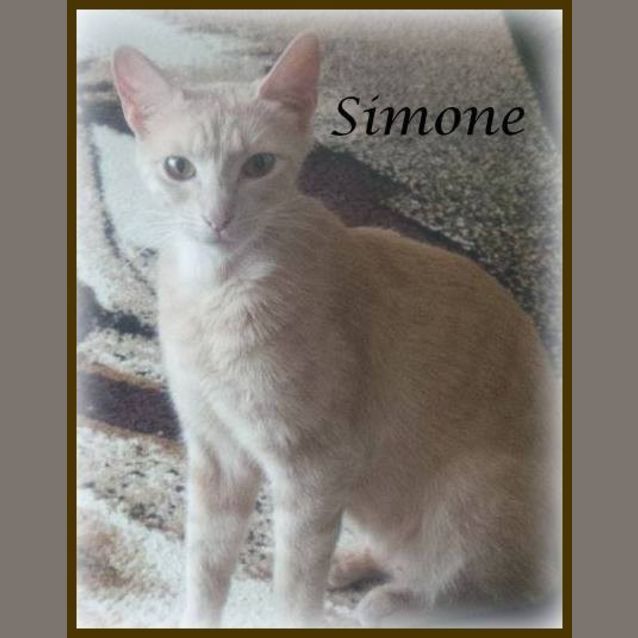 Photo of Simone