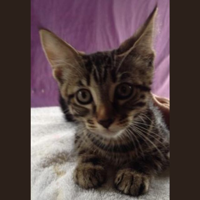Photo of Zeke