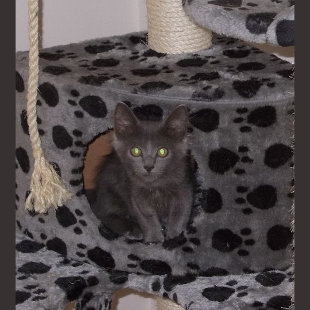 Photo of Charlie