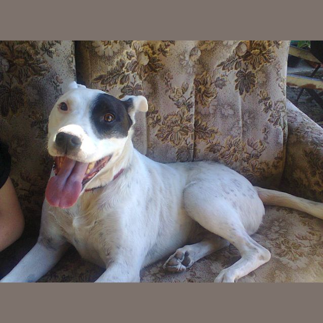 Photo of Max