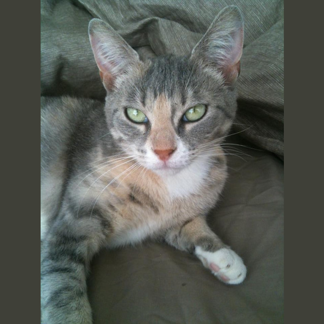 Photo of Chloe