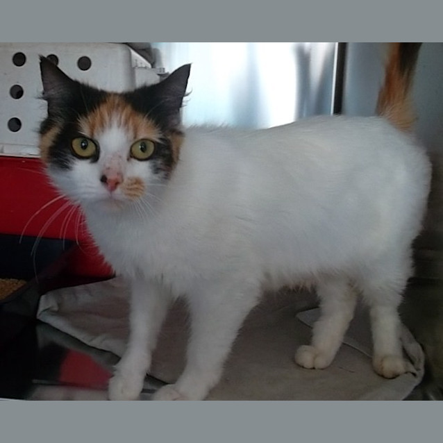 Photo of Nellie