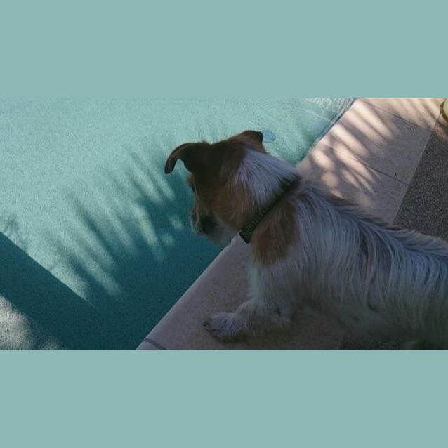 Photo of Rafa (D970) Full Of Life