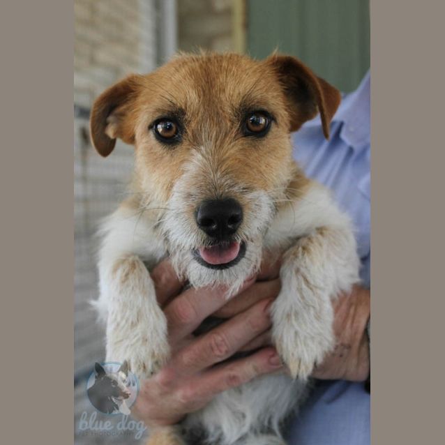 Photo of Rafa (D970) Full Of Life