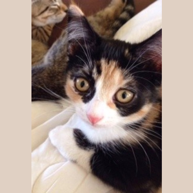 Photo of Keesha