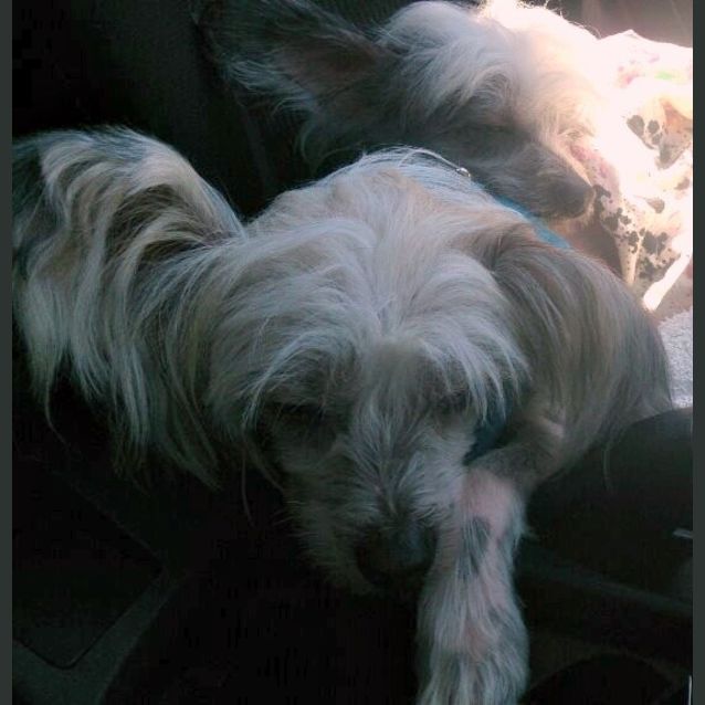 Photo of Lilli & Nelli