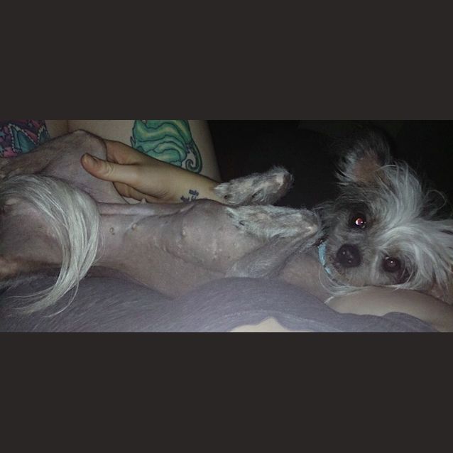 Photo of Lilli & Nelli