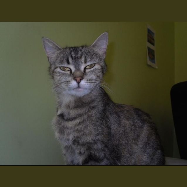 Photo of Mia