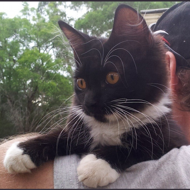 Photo of Disco & Dante