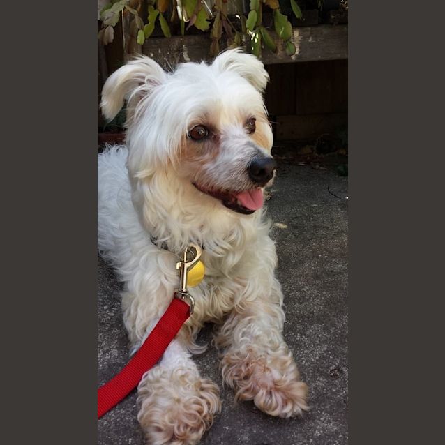 Photo of Candy