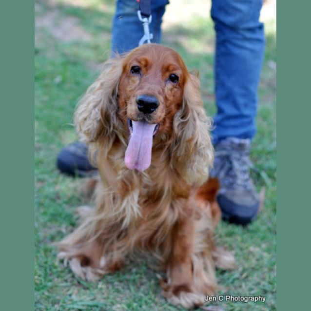 Photo of Clyde