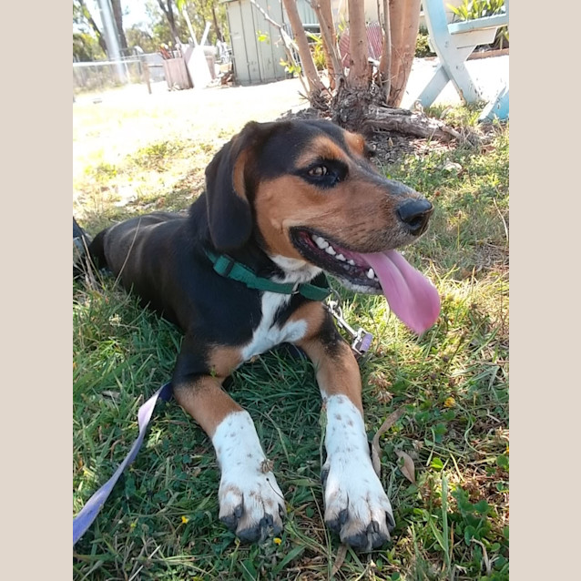 Photo of Ruby