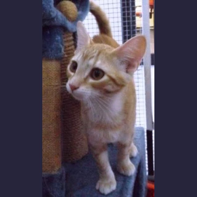 Photo of Fergus