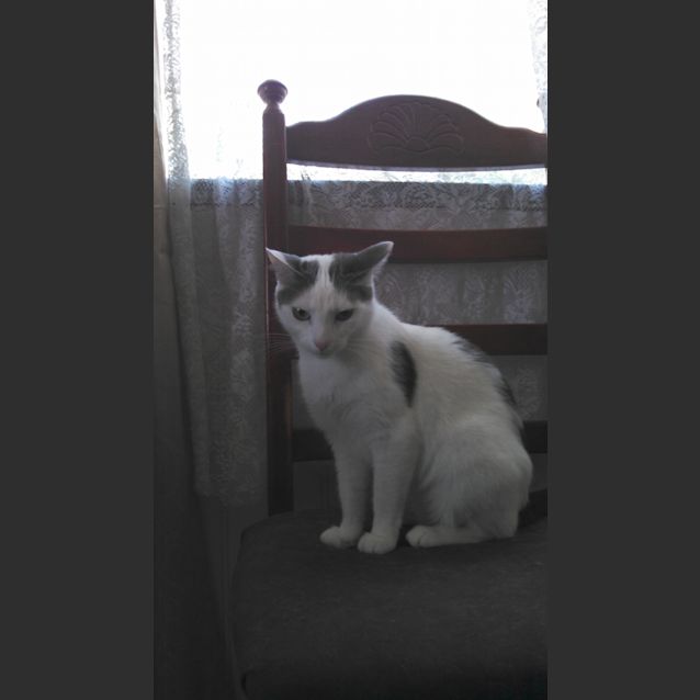 Photo of Rizzo