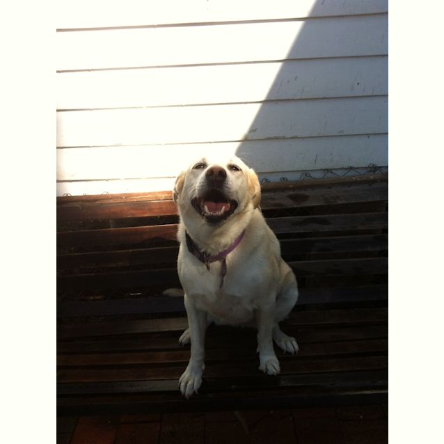 Photo of Angel (Licky) Is On Trial