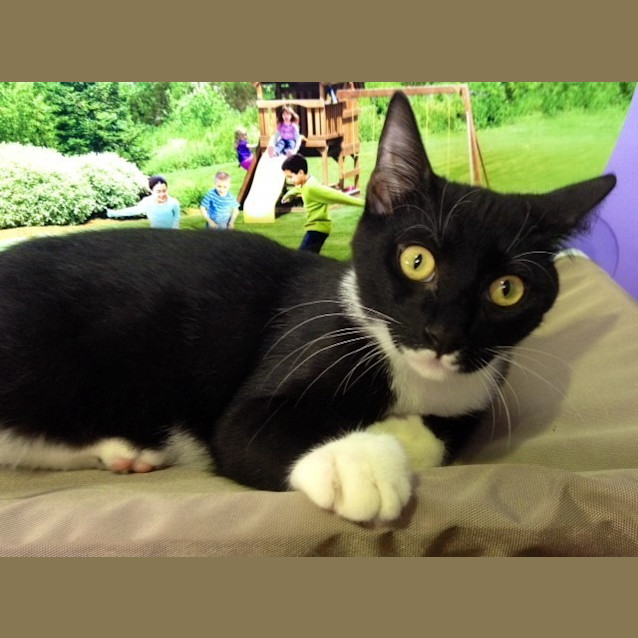 Photo of Lex (Squawks Pet Store)