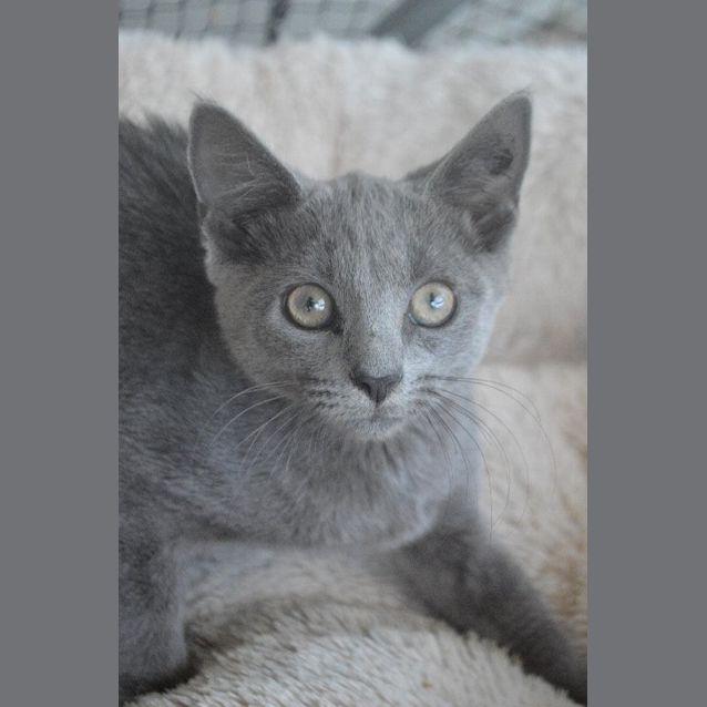 Photo of Tracey