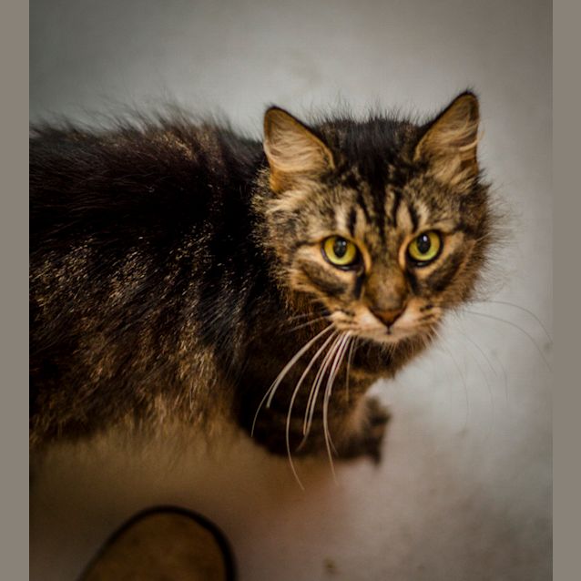 Photo of Nylah