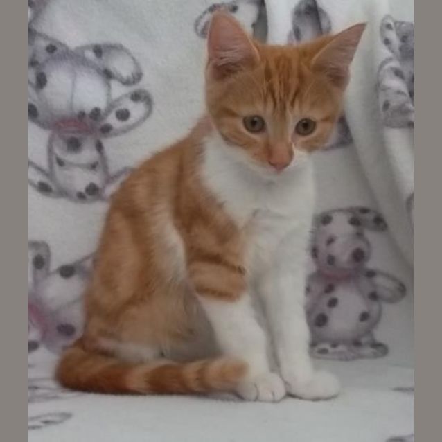 Photo of Daniel