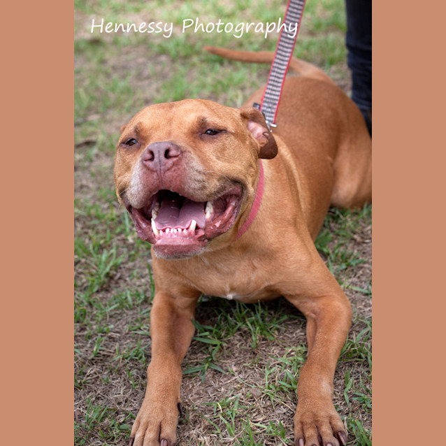 Photo of Ace