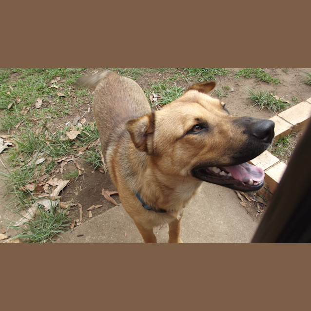 Photo of Bentley