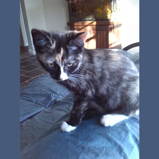 Photo of Lulu   Affectionate