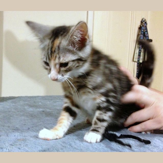 Photo of Lurleen Lumpkin